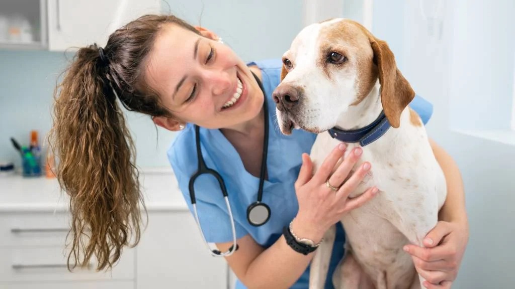 Stress-Free Animal Health Certificates for Travel with Vet Home Certs